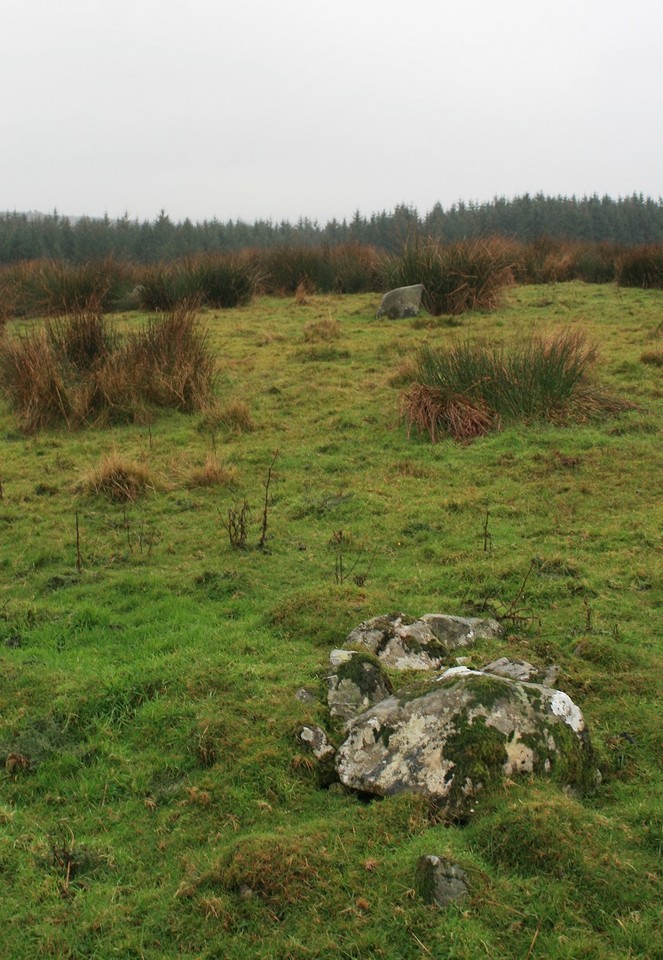 Drumfern (Stone Circle) by postman