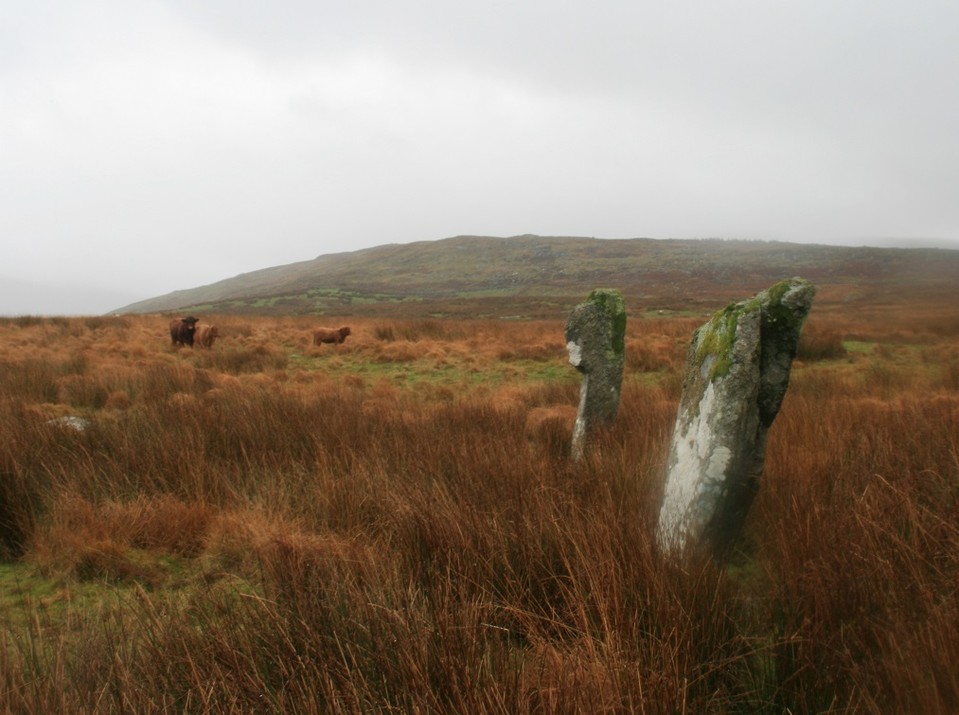 Blair Hill (Standing Stones) by postman