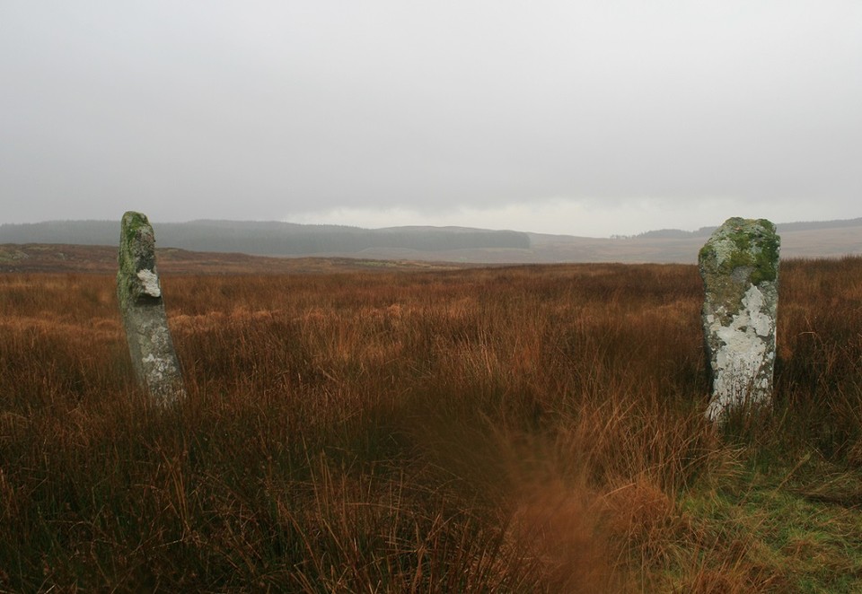 Blair Hill (Standing Stones) by postman