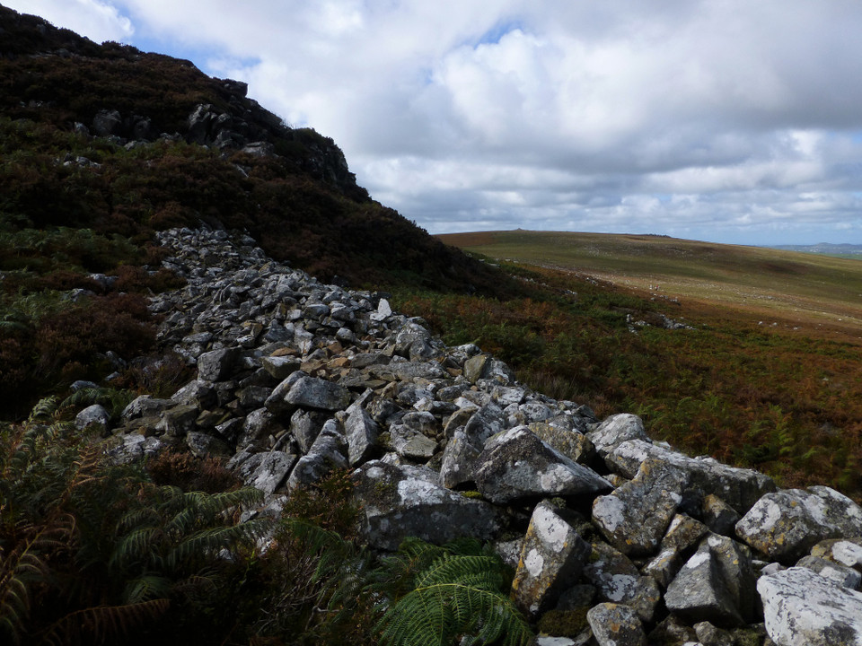 Carn Ingli Camp (Hillfort) by thesweetcheat