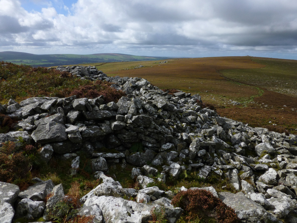 Carn Ingli Camp (Hillfort) by thesweetcheat