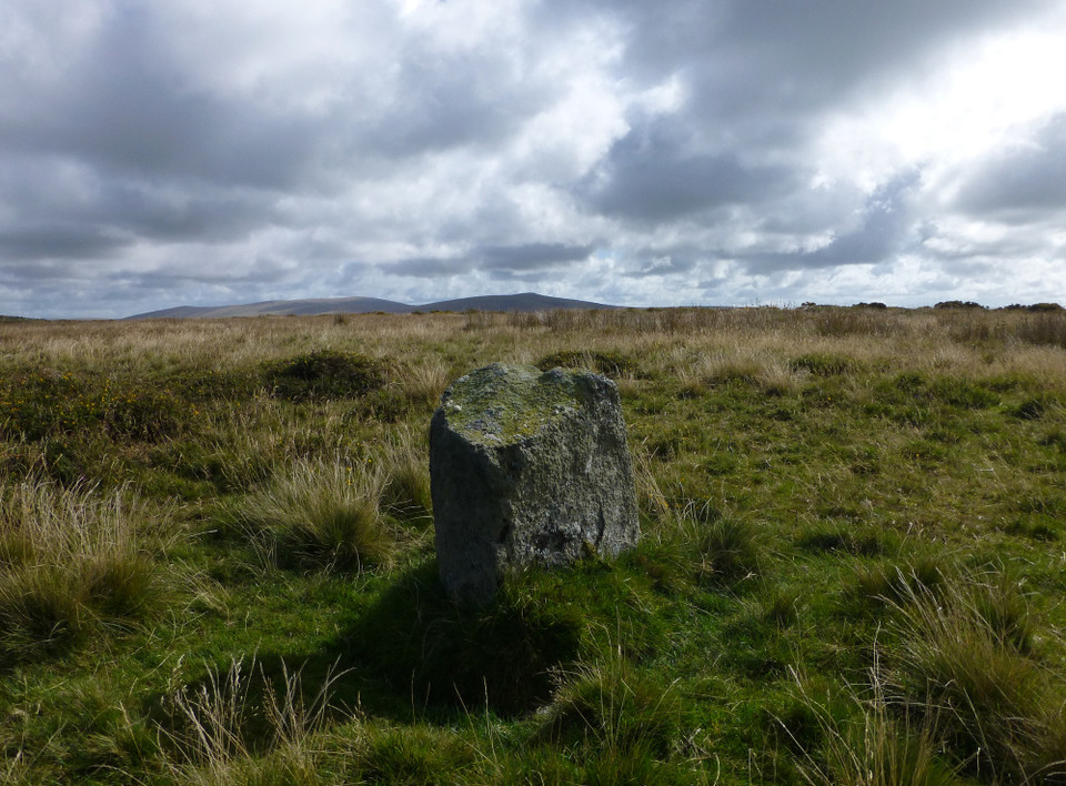 Mynydd Melyn east (Standing Stone / Menhir) by thesweetcheat