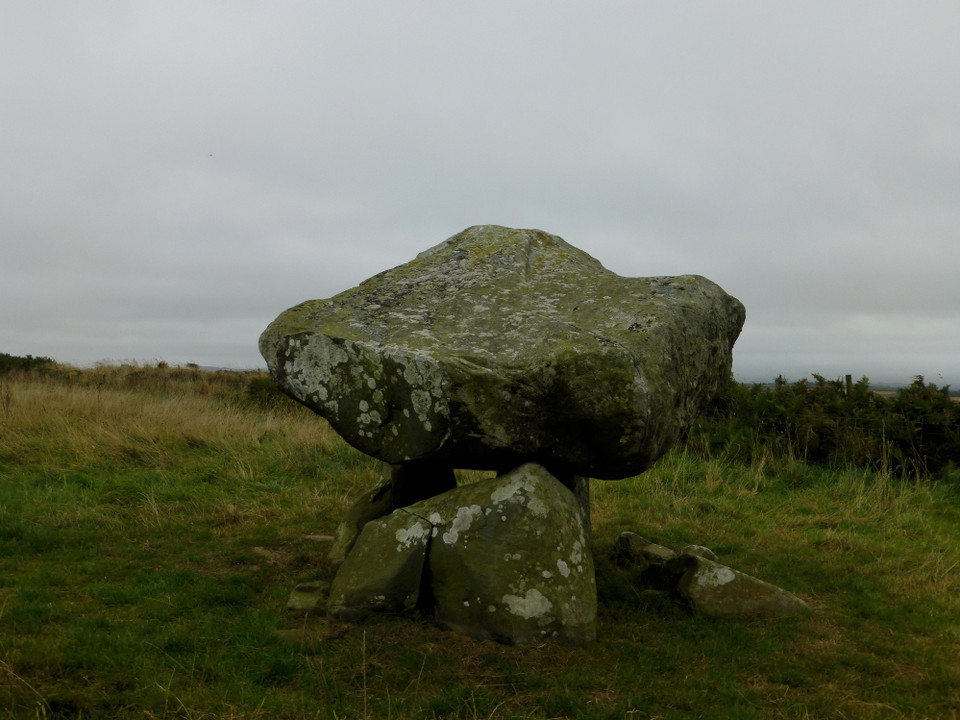 Llech-y-Drybedd (Dolmen / Quoit / Cromlech) by thesweetcheat