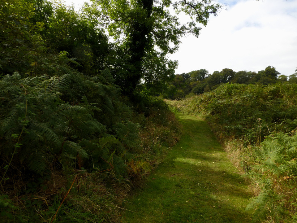 Castell Henllys (Hillfort) by thesweetcheat