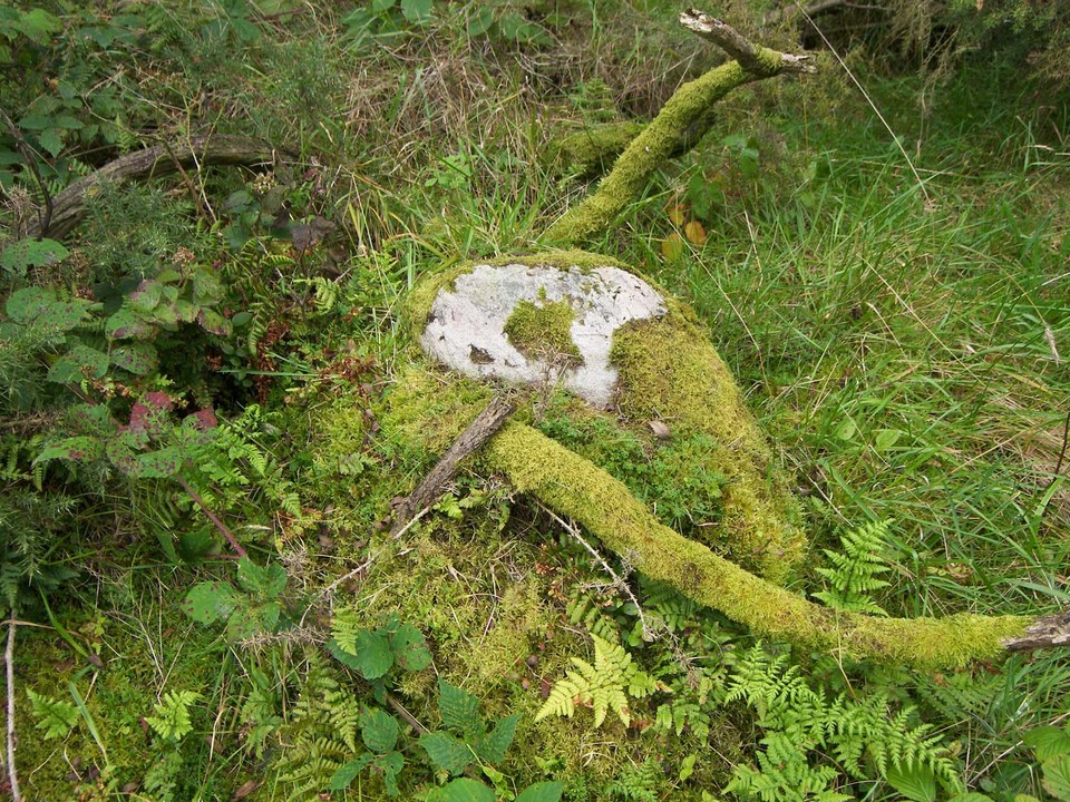 Knocknahorna (Stone Circle) by meg-y