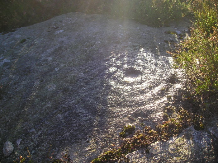 Birnam Hill (Cup and Ring Marks / Rock Art) by tiompan