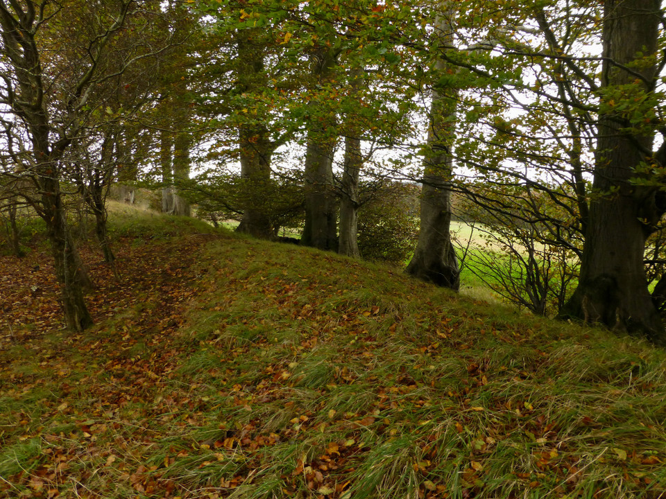 Norbury Camp (Upper Coberley) (Hillfort) by thesweetcheat