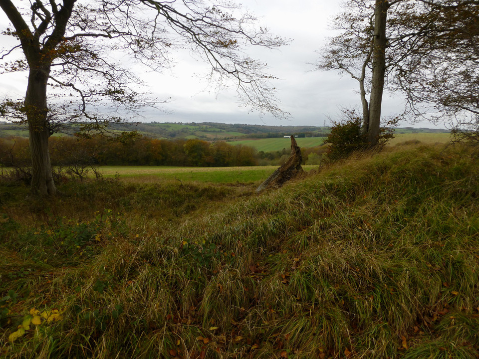 Norbury Camp (Upper Coberley) (Hillfort) by thesweetcheat