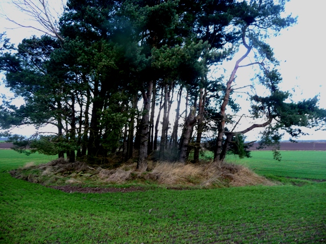 Newbigging Farm (Artificial Mound) by drewbhoy