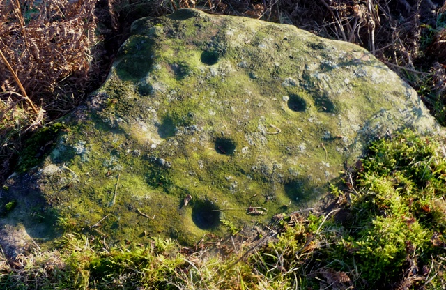 Gallow Hill 2 (Cup and Ring Marks / Rock Art) by drewbhoy