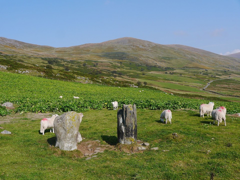 Cerrig Arthur (Stone Circle) by Meic