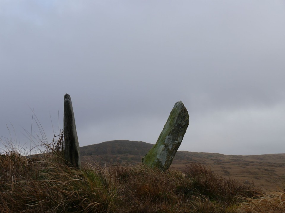 Inchinanagh (Standing Stones) by Meic