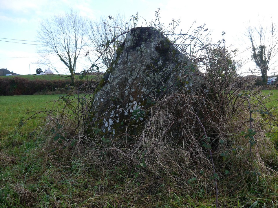 Cloonygorman (Standing Stone / Menhir) by Meic