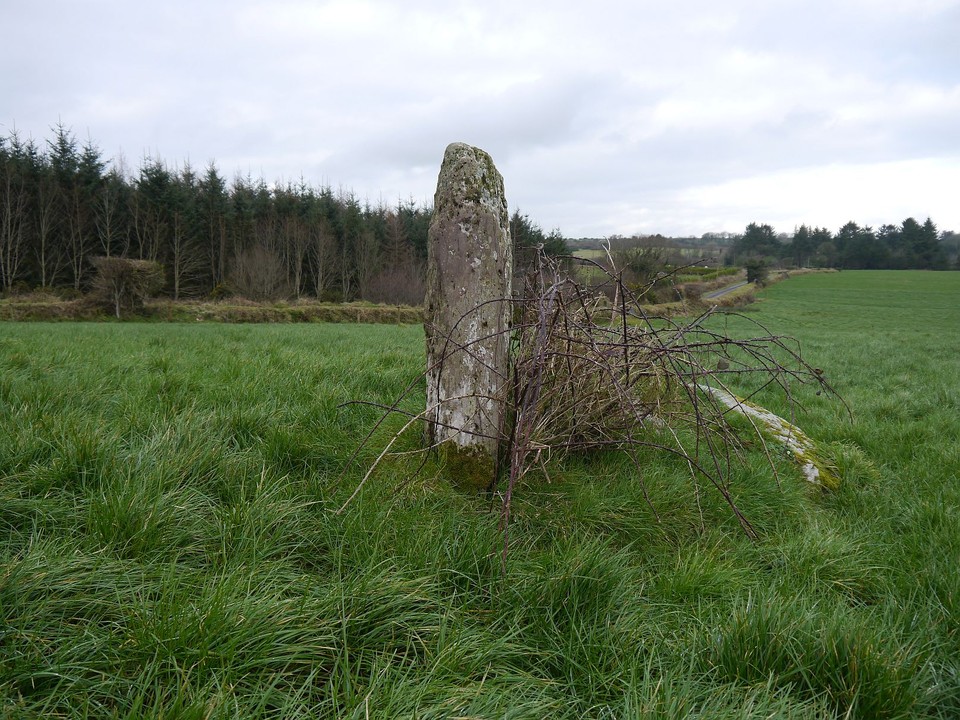 Garranereagh (Standing Stone / Menhir) by Meic