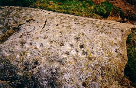 Avochie Stone (Cup and Ring Marks / Rock Art) by davidtic