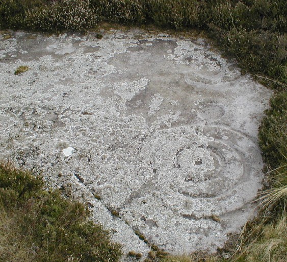 Doddington Moor Quarry Site (Cup and Ring Marks / Rock Art) by pebblesfromheaven