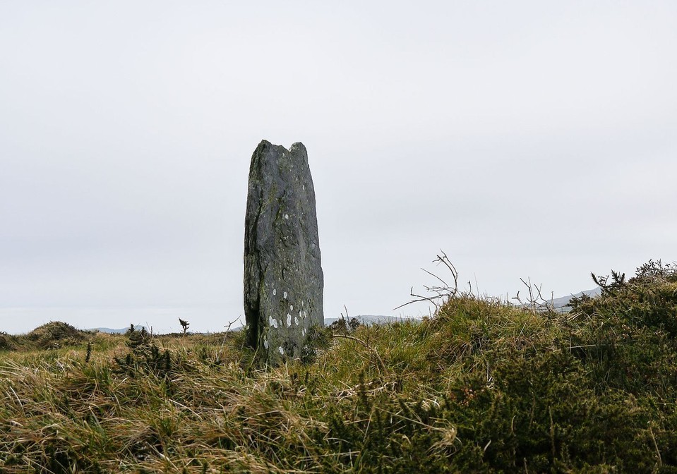 Ballymacrown (Standing Stone / Menhir) by Meic