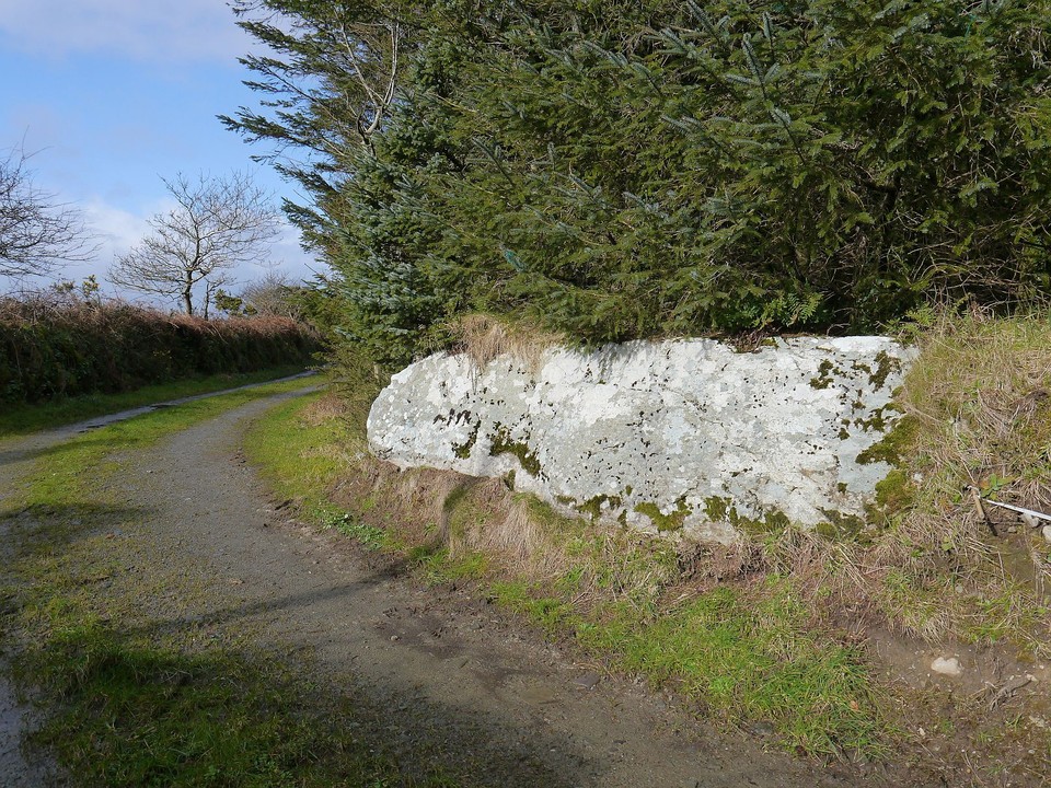 Lissaclarig West (Stone Row / Alignment) by Meic