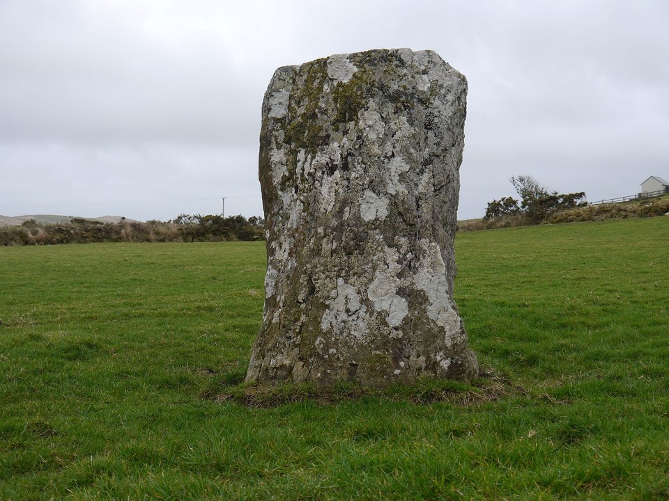 Derreengreanagh (Standing Stones) by Meic