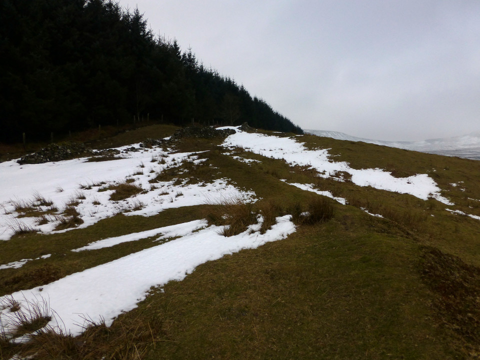 Nant Tarthwynni (Hillfort) by thesweetcheat