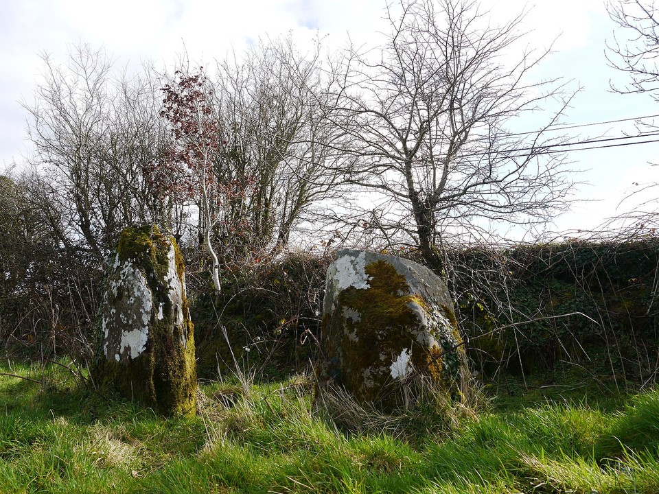 Carriganine Stone Circle (Stone Circle) by Meic