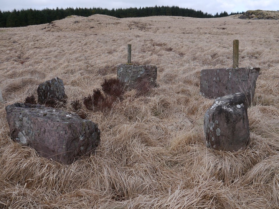 Carriganimmy (Stone Circle) by Meic