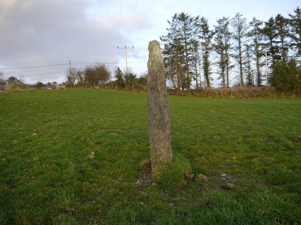 Dunmanway North (Standing Stone / Menhir) by Meic