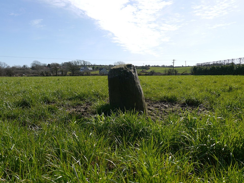 Coolnaconarty (Standing Stones) by Meic