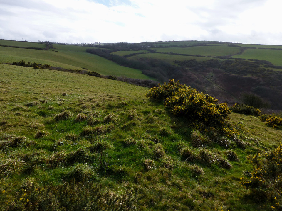 Castell Bach (Penbryn) (Cliff Fort) by thesweetcheat