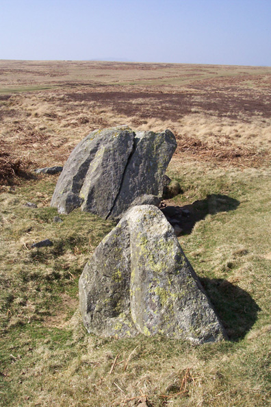 The Cop Stone (Standing Stone / Menhir) by moggymiaow