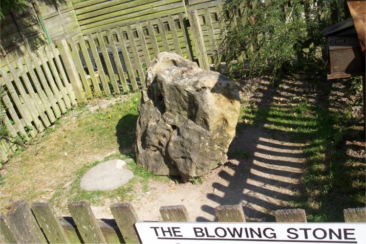Blowing Stone (Standing Stone / Menhir) by Jane