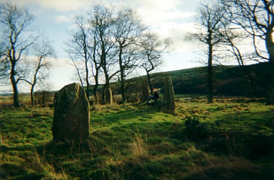 Sunhoney (Stone Circle) by davidtic