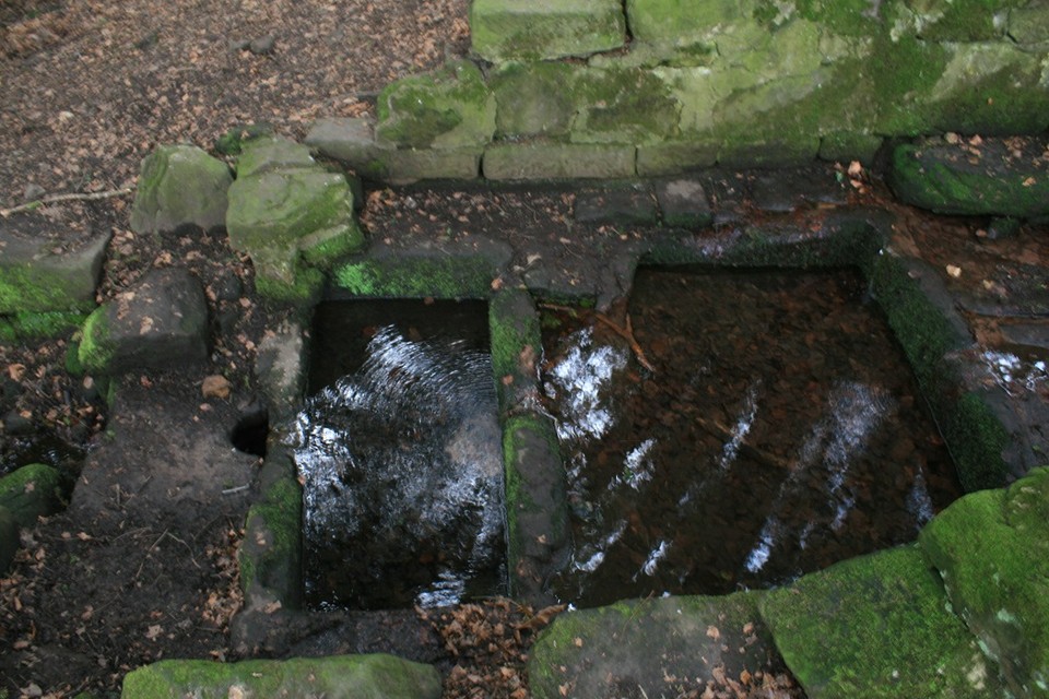 Gawton's Well (Sacred Well) by postman