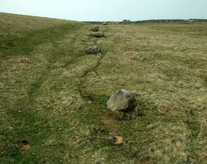 Castlehowe Scar Stone Row (Stone Row / Alignment) by baza