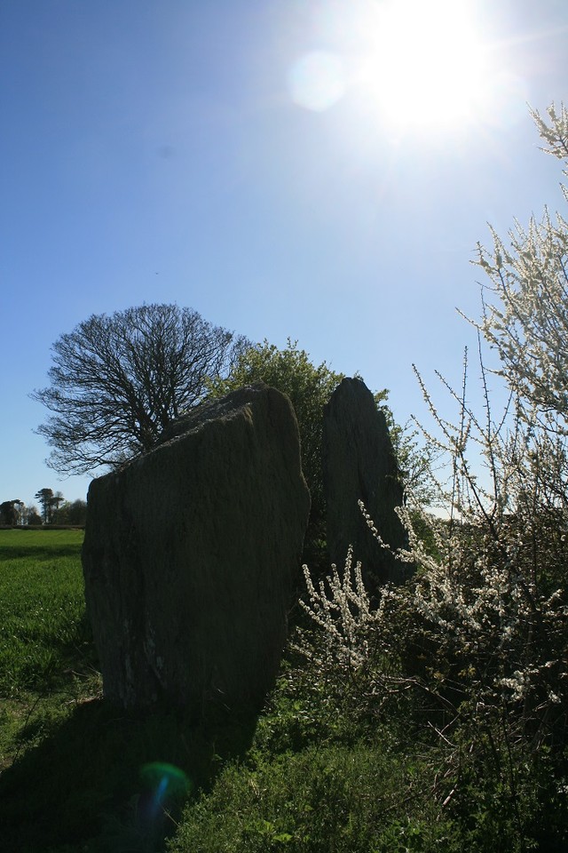 Bryn Gwyn (Stone Circle) by postman