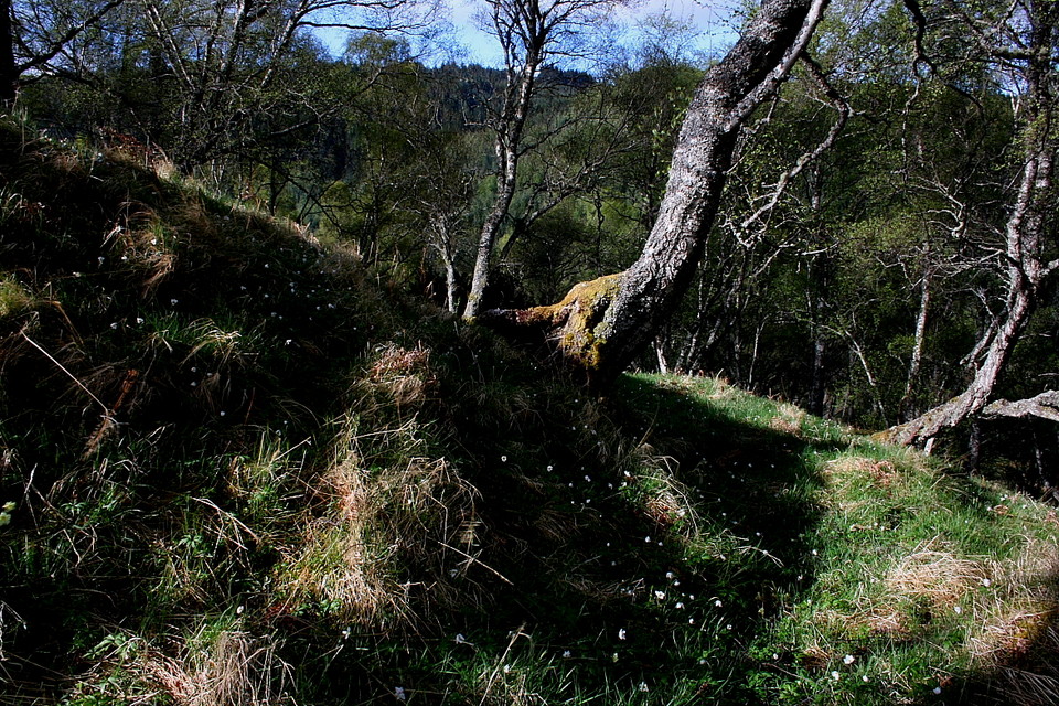 An Torr, Strathnacro (Stone Fort / Dun) by GLADMAN