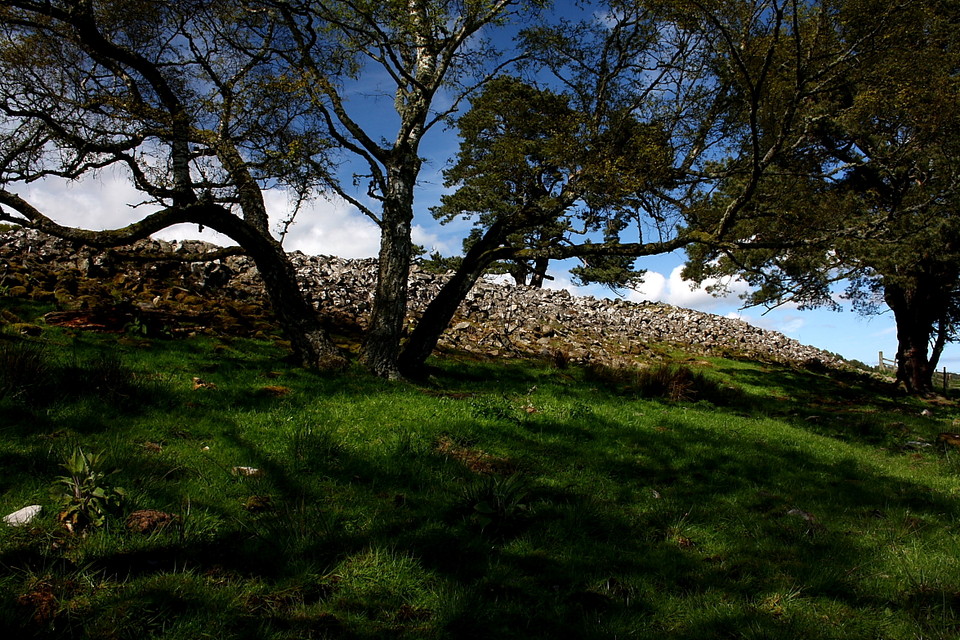 Kinrive West (Long Cairn) by GLADMAN