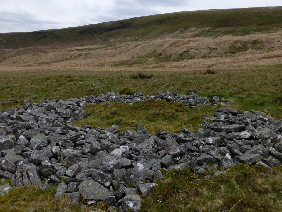 Mynydd Cefngyngon (Ancient Village / Settlement / Misc. Earthwork) by thesweetcheat
