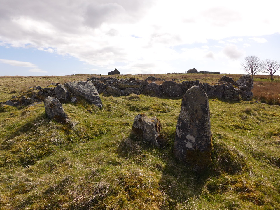 Backlass (Stone Circle) by thelonious
