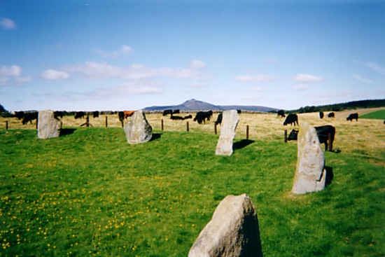 Easter Aquhorthies (Stone Circle) by davidtic