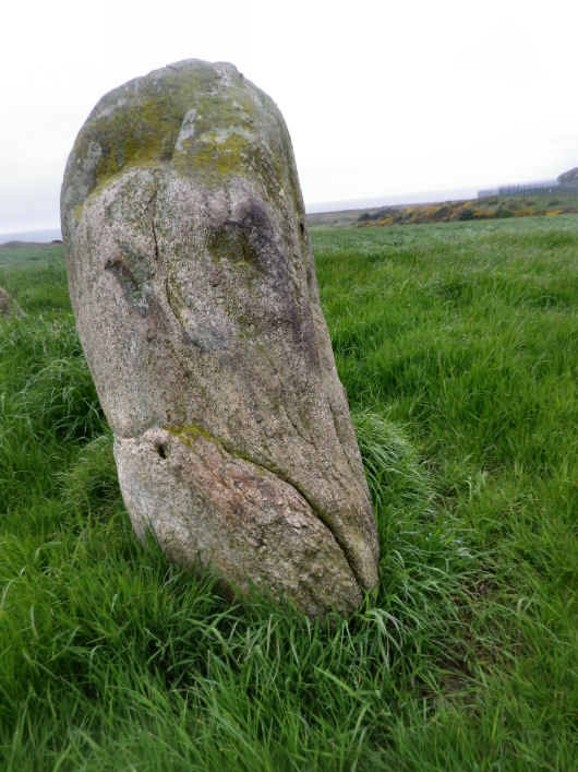 Greycroft Stone Circle (Stone Circle) by stubob