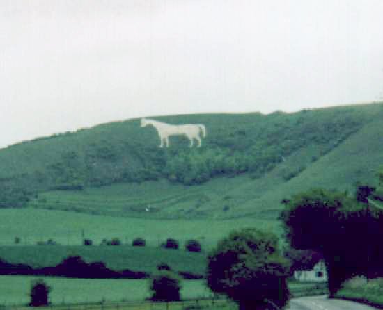 Bratton Castle & Westbury White Horse (Hillfort) by vulcan