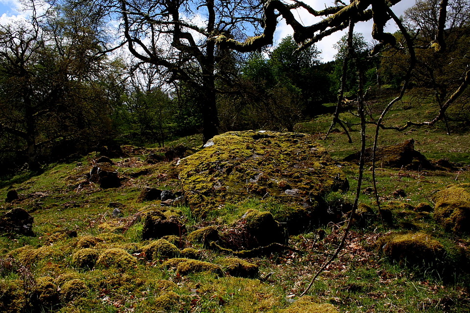 Edinchip Chambered Cairn (Chambered Cairn) by GLADMAN