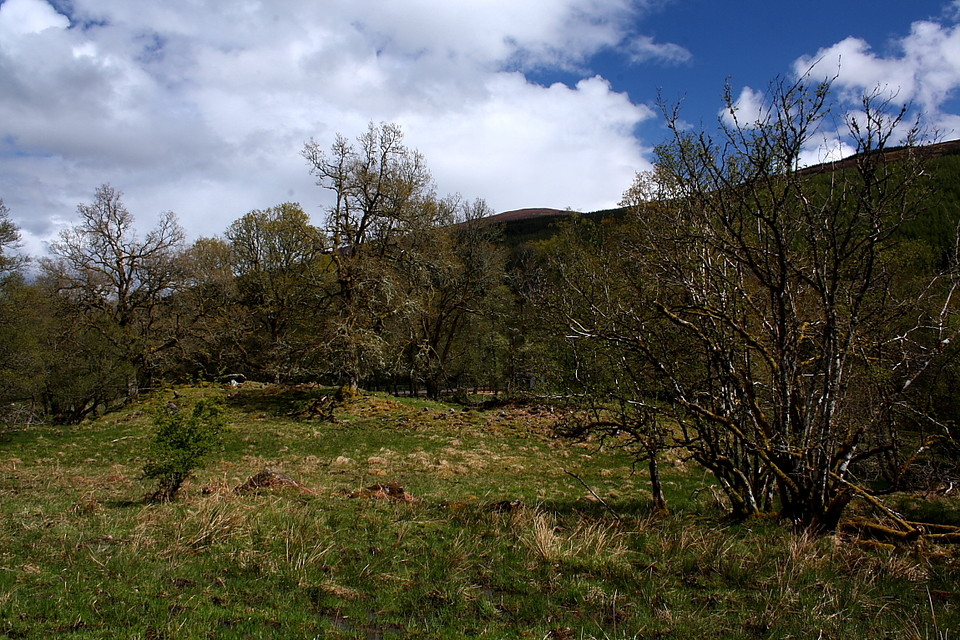 Edinchip Chambered Cairn (Chambered Cairn) by GLADMAN