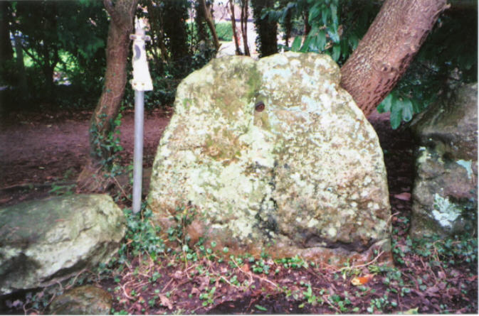 Pewsey (Standing Stones) by hamish
