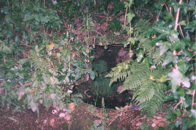 Alsia Holy Well (Sacred Well) by hamish