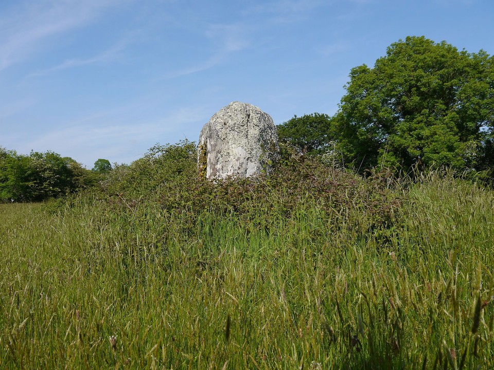 Nedinagh West (Standing Stones) by Meic
