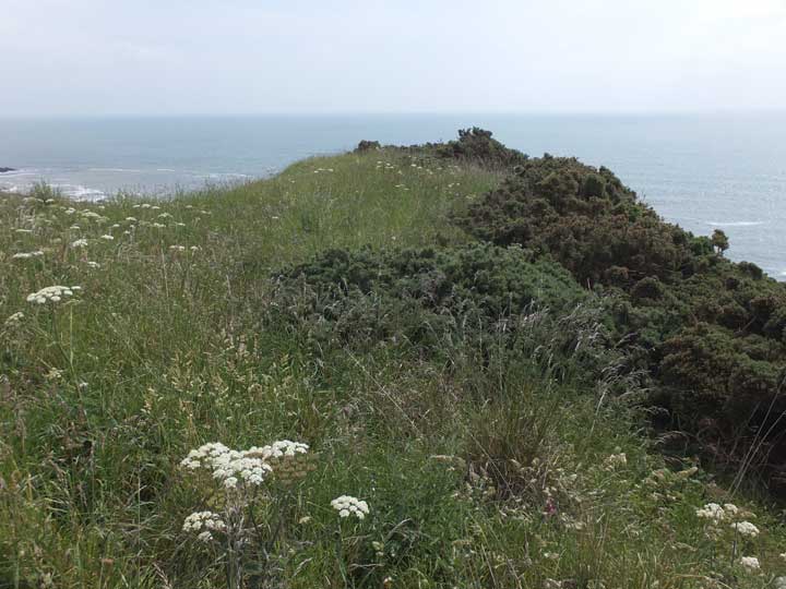 West Mains of Ethie (Promontory Fort) by LesHamilton