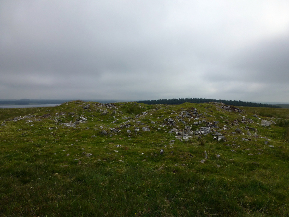 Showery Tor Downs Cairn (Cairn(s)) by thesweetcheat