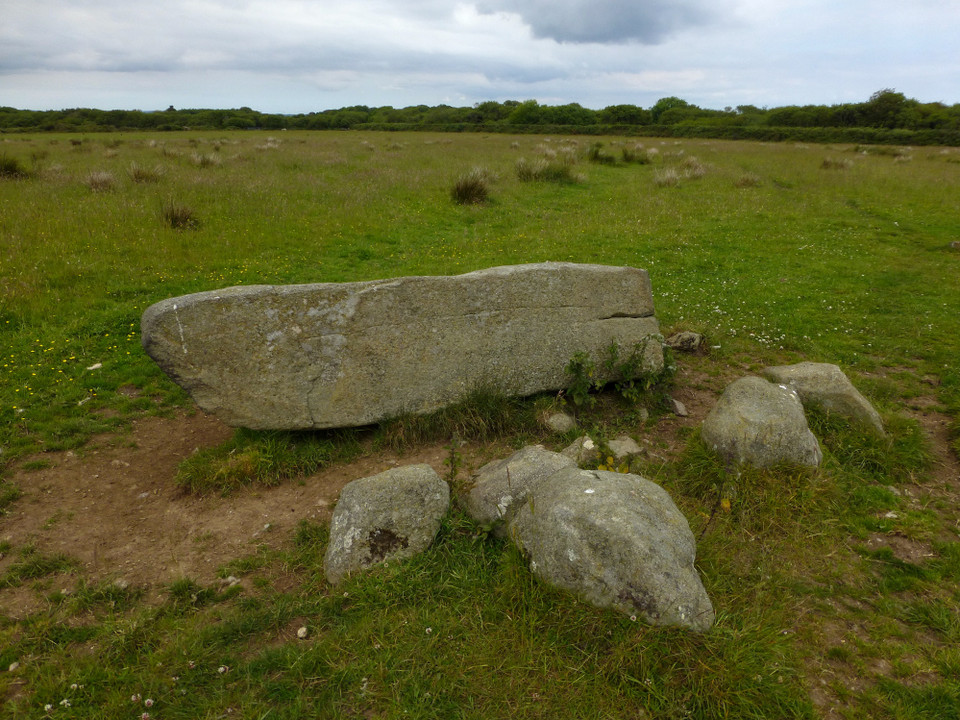Crousa Common Menhirs (Standing Stone / Menhir) by thesweetcheat